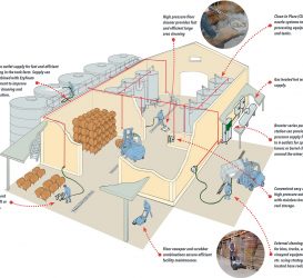 Ring Mains System – For a Spotless Winery